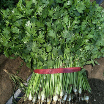 ����鿴��Ʒ:���