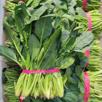 ����鿴��Ʒ:���� ����