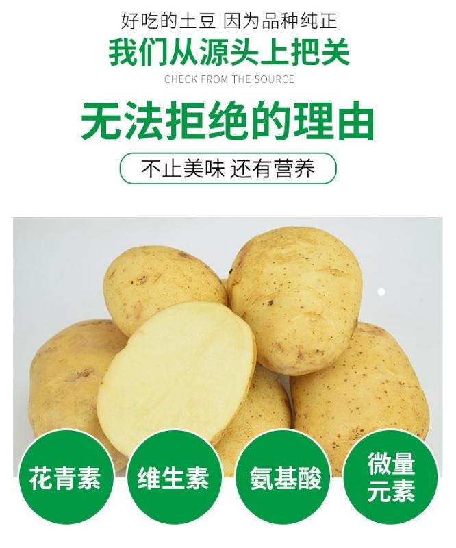 ��Ʒ���ƣ�����  ������