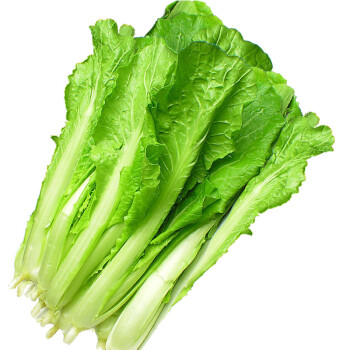 ���  С�ײ�